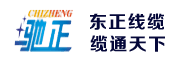 上海典范醫(yī)療科技有限公司